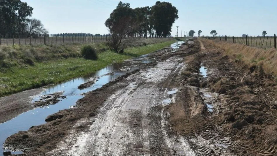 9 de Julio: productores proponen una comisión vial rural para gestionar obras y fondos del partido