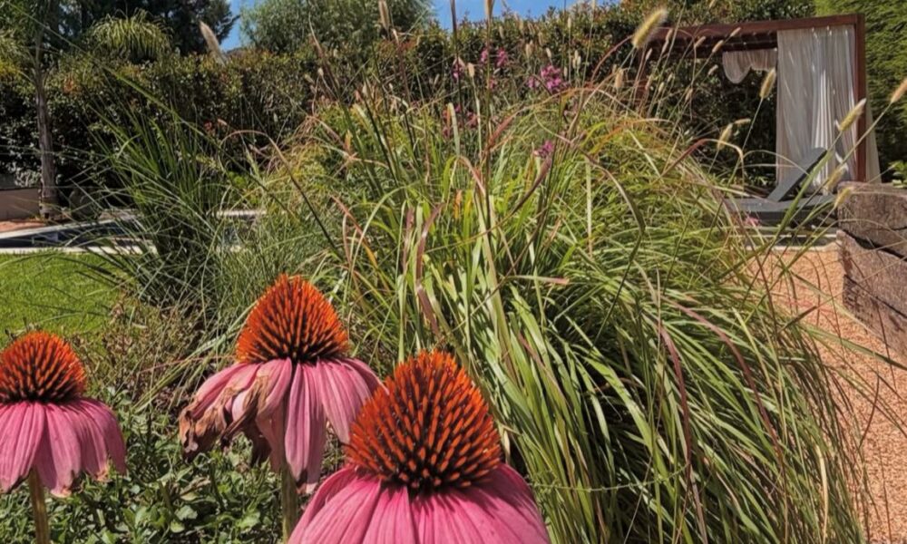 Roca Urban Nature proyecto